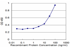 HDGF Antibody - Detection limit for recombinant GST tagged HDGF is approximately 3 ng/ml as a capture antibody.