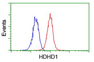 HDHD1 Antibody - Flow cytometry of Jurkat cells, using anti-HDHD1 antibody (Red), compared to a nonspecific negative control antibody (Blue).