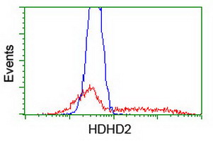 HDHD2 Antibody - HEK293T cells transfected with either overexpress plasmid (Red) or empty vector control plasmid (Blue) were immunostained by anti-HDHD2 antibody, and then analyzed by flow cytometry.