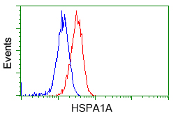 Heat Shock Protein 70 / HSPA1A Antibody - Flow cytometry of HeLa cells, using anti-HSPA1A antibody, (Red), compared to a nonspecific negative control antibody, (Blue).