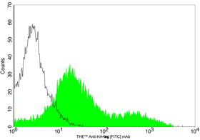 Hemagglutinin / HA Tag Antibody - Flow cytometric analysis of transfected HEK-293 cell expressing HA-tagged protein using THE TM Anti-HA-tag [FITC] Monoclonal Antibody or with a negative control antibody (open histogram).