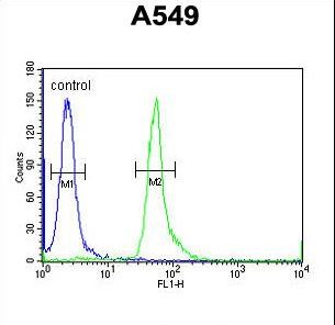 HEMK1 Antibody - HEMK1 Antibody flow cytometry of A549 cells (right histogram) compared to a negative control cell (left histogram). FITC-conjugated goat-anti-rabbit secondary antibodies were used for the analysis.
