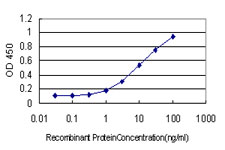 HERC3 Antibody - Detection limit for recombinant GST tagged HERC3 is approximately 0.1 ng/ml as a capture antibody.