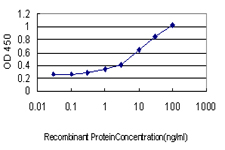 HES1 / HES-1 Antibody - Detection limit for recombinant GST tagged HES1 is approximately 0.3 ng/ml as a capture antibody.