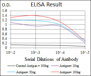 HEXA Antibody - Red: Control Antigen (100ng); Purple: Antigen (10ng); Green: Antigen (50ng); Blue: Antigen (100ng);