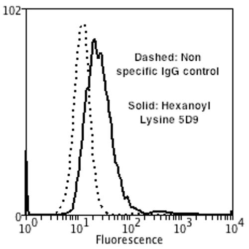 Hexanoyl-Lysine adduct Antibody - Flow Cytometry analysis using Mouse Anti-Hexanoyl-Lysine adduct Monoclonal Antibody, Clone 5D9. Tissue: Neuroblastoma cells (SH-SY5Y). Species: Human. Fixation: 90% Methanol. Primary Antibody: Mouse Anti-Hexanoyl-Lysine adduct Monoclonal Antibody at 1:50 for 30 min on ice. Secondary Antibody: Goat Anti-Mouse: PE at 1:100 for 20 min at RT. Isotype Control: Non Specific IgG. Cells were subject to oxidative stress by treating with 250 µM H2O2 for 24 hours.