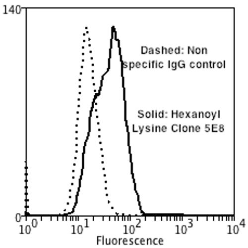 Hexanoyl-Lysine adduct Antibody - Flow Cytometry analysis using Mouse Anti-Hexanoyl-Lysine adduct Monoclonal Antibody, Clone 5E8. Tissue: Neuroblastoma cells (SH-SY5Y). Species: Human. Fixation: 90% Methanol. Primary Antibody: Mouse Anti-Hexanoyl-Lysine adduct Monoclonal Antibody at 1:50 for 30 min on ice. Secondary Antibody: Goat Anti-Mouse: PE at 1:100 for 20 min at RT. Isotype Control: Non Specific IgG.