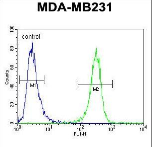 HFM1 Antibody - HFM1 Antibody flow cytometry of MDA-MB231 cells (right histogram) compared to a negative control cell (left histogram). FITC-conjugated goat-anti-rabbit secondary antibodies were used for the analysis.