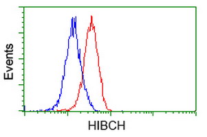 HIBCH Antibody - Flow cytometry of Jurkat cells, using anti-HIBCH antibody, (Red), compared to a nonspecific negative control antibody, (Blue).