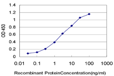 HIC1 Antibody - Detection limit for recombinant GST tagged HIC1 is approximately 0.1 ng/ml as a capture antibody.