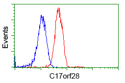 HID1 / C17orf28 Antibody - Flow cytometric Analysis of Jurkat cells, using anti-C17orf28 antibody, (Red), compared to a nonspecific negative control antibody, (Blue).