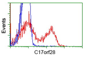 HID1 / C17orf28 Antibody - HEK293T cells transfected with either overexpress plasmid (Red) or empty vector control plasmid (Blue) were immunostained by anti-C17orf28 antibody, and then analyzed by flow cytometry.