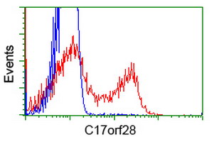 HID1 / C17orf28 Antibody - HEK293T cells transfected with either overexpress plasmid (Red) or empty vector control plasmid (Blue) were immunostained by anti-C17orf28 antibody, and then analyzed by flow cytometry.