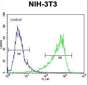 HIF1A / HIF1 Alpha Antibody - HIF1Alpha Antibody flow cytometry of NIH-3T3 cells (right histogram) compared to a negative control cell (left histogram). FITC-conjugated goat-anti-rabbit secondary antibodies were used for the analysis.