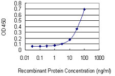 HIF2A / EPAS1 Antibody - Detection limit for recombinant GST tagged EPAS1 is 1 ng/ml as a capture antibody.