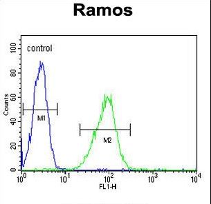 HIP1R Antibody - HIP1R Antibody flow cytometry of Ramos cells (right histogram) compared to a negative control cell (left histogram). FITC-conjugated goat-anti-rabbit secondary antibodies were used for the analysis.