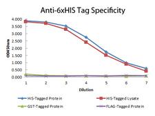 His Tag Antibody - ELISA of Mouse anti-6xHIS Tag Antibody. Antigen: HIS-tagged purified protein and E. coli cell lysates expressing HIS-Tagged construct, GST- and RON-tagged purified proteins. Coating amount: 0.15 ug per well. Primary antibody: 6xHIS Tag antibody at 100 ug/mL. Dilution series: 2-fold. Mid-point concentration: 200ng/mL. Secondary antibody: Peroxidase mouse secondary antibody at 1:10000. Substrate: TMB (p/n TMBE-1000). This image was taken for the unconjugated form of this product. Other forms have not been tested.