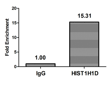 HIST1H1E Antibody - Chromatin Immunoprecipitation Hela(4*106)were treated with Micrococcal Nuclease, sonicated, and immunoprecipitated with 5ug anti-HIST1H1D or a control normal rabbit IgG. The resulting ChIP DNA was quantified using real-time PCR with primers against the Beta-Globin promoter.