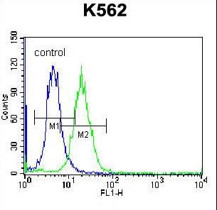 HIST1H2AB Antibody - HIST1H2AB Antibody flow cytometry of K562 cells (right histogram) compared to a negative control cell (left histogram). FITC-conjugated donkey-anti-rabbit secondary antibodies were used for the analysis.