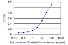 HIST1H2AC Antibody - Detection limit for recombinant GST tagged HIST1H2AC is 0.1 ng/ml as a capture antibody.
