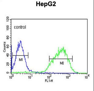 HIST1H2AL Antibody - HIST1H2AL Antibody flow cytometry of HepG2 cells (right histogram) compared to a negative control cell (left histogram). FITC-conjugated goat-anti-rabbit secondary antibodies were used for the analysis.