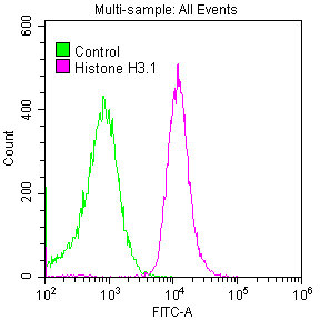 HIST1H3A Antibody - Overlay histogram showing Hela cells stained (red line) with dilution at 1:50. The cells were fixed with 70% Ethylalcohol (18h) and then permeabilized with 0.3% Triton X-100 for 2 min.The cells were then incubated in 1x PBS /10% normal Goat serum to block non-specific protein-protein interactions followed by primary antibody for 1 h at 4C.The Secondary antibody used was FITC Goat anti-rabbit IgG (H+L) at 1/200 dilution for 1 h at 4C. Control antibody (green line) was used under the same conditions. Acquisition of >10,000 events was performed.