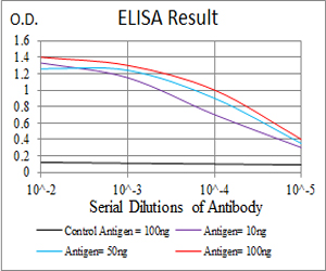 HIST2H3A Antibody - Black line: Control Antigen (100 ng);Purple line: Antigen(10ng);Blue line: Antigen (50 ng);Red line: Antigen (100 ng);