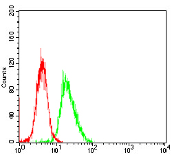 HIST2H3A Antibody - Flow cytometric analysis of NIH/3T3 cells using HH3 mouse mAb (green) and negative control (red).