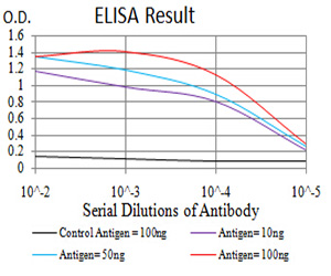 HIST2H3C Antibody - Black line: Control Antigen (100 ng);Purple line: Antigen(10ng);Blue line: Antigen (50 ng);Red line: Antigen (100 ng);