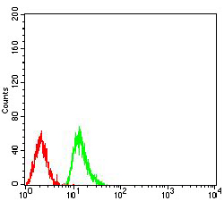 HIST2H4A Antibody - Flow cytometric analysis of Raji cells using HIST2H4A(20Me) mouse mAb (green) and negative control (red).