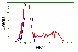 HK2 / Hexokinase 2 Antibody - HEK293T cells transfected with either pCMV6-ENTRY HK2 (Red) or empty vector control plasmid (Blue) were immunostained with anti-HK2 mouse monoclonal, and then analyzed by flow cytometry.