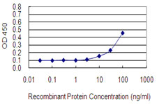 HLA-A Antibody - Detection limit for recombinant GST tagged HLA-A is 3 ng/ml as a capture antibody.