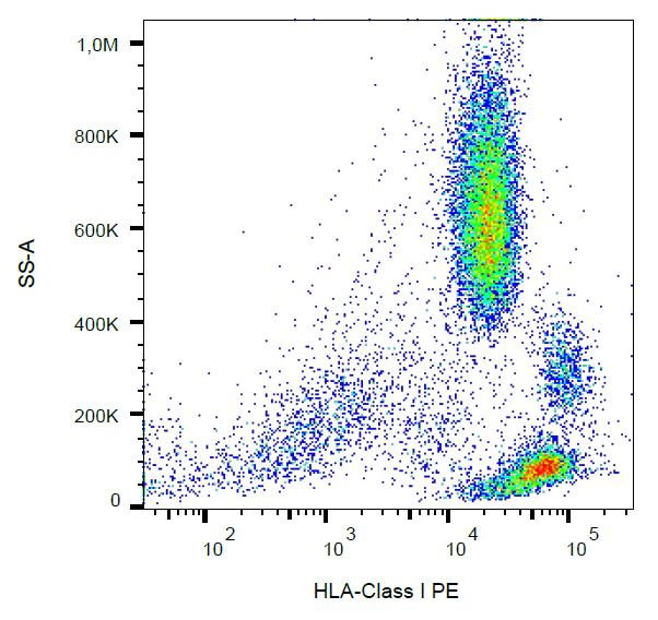 HLA-A/B/C Antibody - Surface staining of human peripheral blood cells with anti-HLA-class I (W6/32) PE
