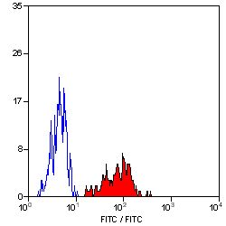 HLA-A2 Antibody - Flow cytometry of human peripheral blood monocytes with Mouse anti-Human HLA-A2:FITC This image was taken for the unconjugated form of this product. Other forms have not been tested.