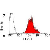 HLA-A2 Antibody - Flow cytometry of human peripheral blood lymphocytes with Mouse anti-Human HLA-A2: RPE This image was taken for the unconjugated form of this product. Other forms have not been tested.