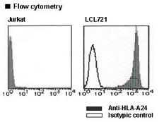 HLA-A24 Antibody -  This image was taken for the unconjugated form of this product. Other forms have not been tested.