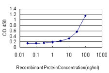 HLA-DMA Antibody - Detection limit for recombinant GST tagged HLA-DMA is approximately 1 ng/ml as a capture antibody.