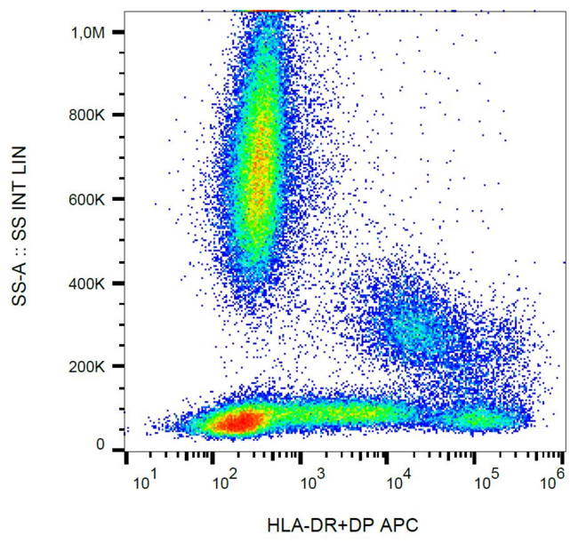 HLA-DP/DR Antibody - Surface staining of human peripheral blood with anti-human HLA-DR+DP (MEM-136) APC.