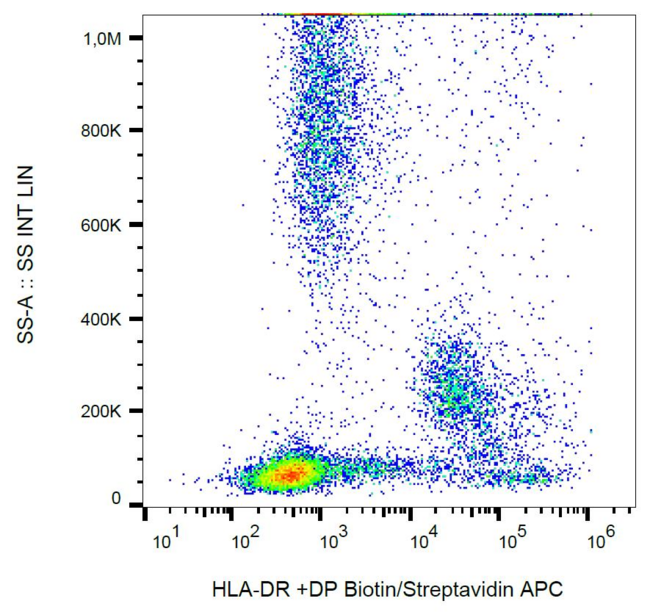 HLA-DP/DR Antibody - Surface staining of human peripheral blood with anti-human HLA-DR+DP (MEM-136) biotin.
