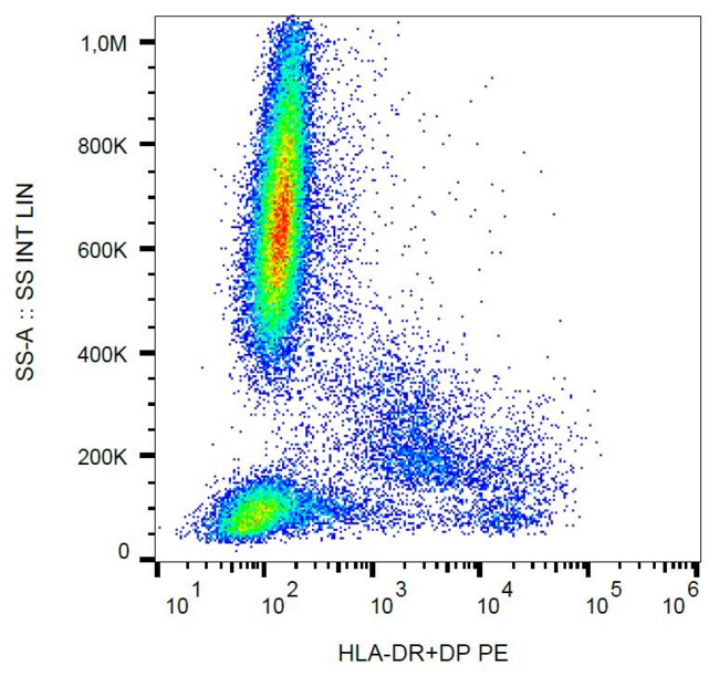 HLA-DP/DR Antibody - Surface staining of human peripheral blood with anti-human HLA-DR+DP (MEM-136) PE.