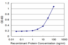 HLA-DPA1 Antibody - Detection limit for recombinant GST tagged HLA-DPA1 is approximately 3 ng/ml as a capture antibody.