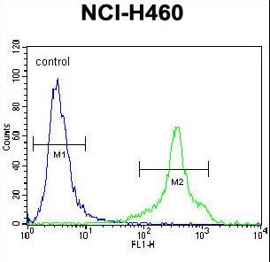 HLA-DQA1 Antibody - HLA-DQA1 Antibody flow cytometry of NCI-H460 cells (right histogram) compared to a negative control cell (left histogram). FITC-conjugated goat-anti-rabbit secondary antibodies were used for the analysis.
