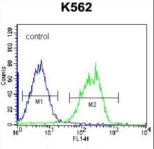 HLA-DQA1 Antibody - HLA-DQA1 Antibody flow cytometry of K562 cells (right histogram) compared to a negative control cell (left histogram). FITC-conjugated goat-anti-rabbit secondary antibodies were used for the analysis.