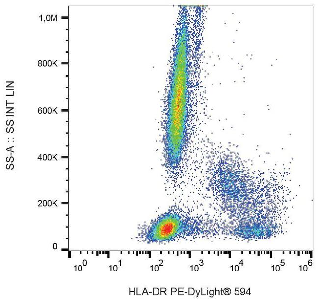 HLA-DR Antibody - Surface staining of HLA-DR in human peripheral blood with anti-HLA-DR (L243) PE-DyLight® 594.