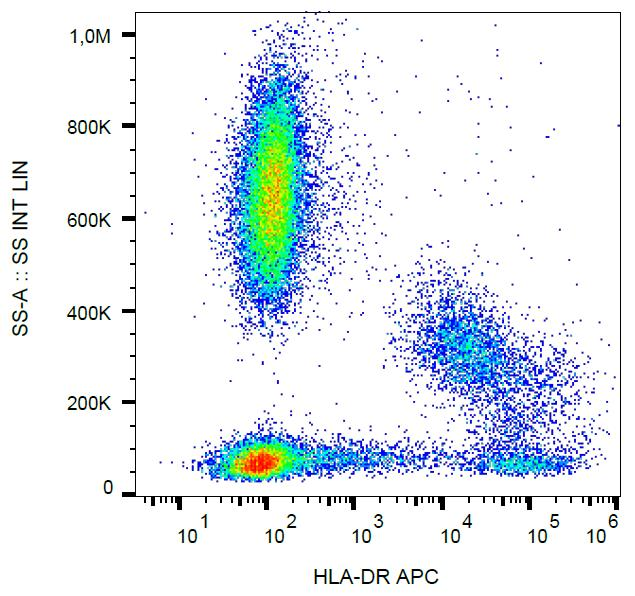 HLA-DR Antibody - Surface staining of human peripheral blood cells with anti-human HLA-DR (MEM-12) APC. 