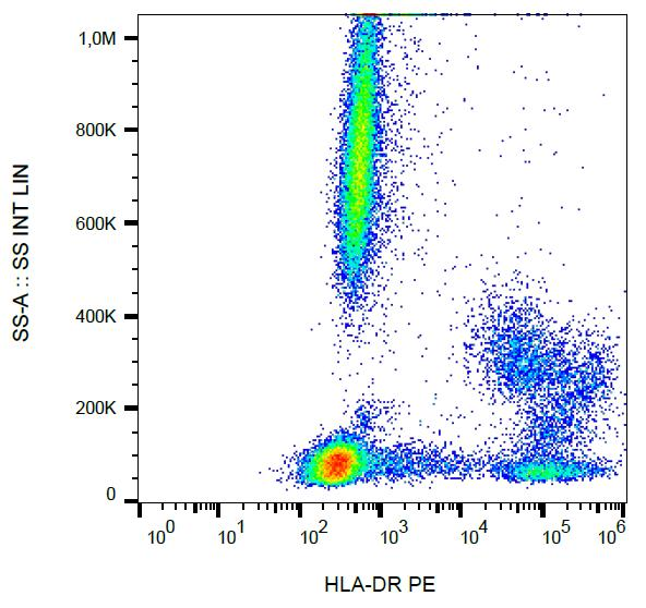 HLA-DR Antibody - Surface staining of human peripheral blood cells with anti-human HLA-DR (MEM-12) PE. 