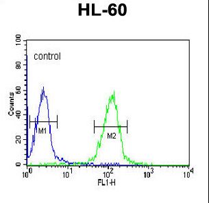 HLA-DRA Antibody - HLA-DRA Antibody flow cytometry of HL-60 cells (right histogram) compared to a negative control cell (left histogram). FITC-conjugated goat-anti-rabbit secondary antibodies were used for the analysis.