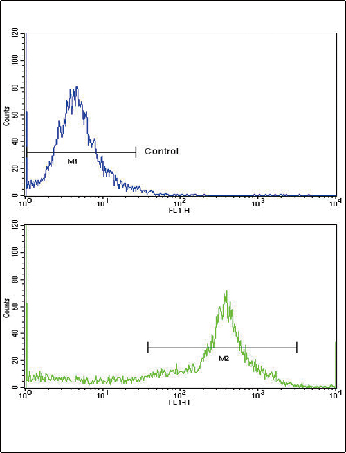 HLA-DRB1 Antibody - Flow cytometric of widr cells using HLA-DRB1 Antibody (bottom histogram) compared to a negative control cell (top histogram)FITC-conjugated goat-anti-rabbit secondary antibodies were used for the analysis.