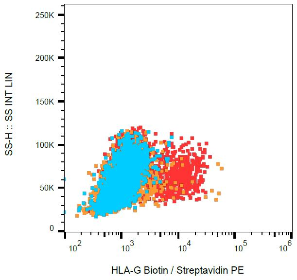 HLA-G Antibody - Surface staining of HLA-G transfectants (red) compared with K562 cells (orange) and blank (blue), with anti-HLA-G antibody (87G) biotin / streptavidin-PE. 