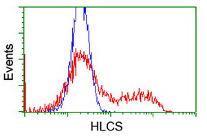 HLCS / HCS Antibody - HEK293T cells transfected with either overexpress plasmid (Red) or empty vector control plasmid (Blue) were immunostained by anti-HLCS antibody, and then analyzed by flow cytometry.